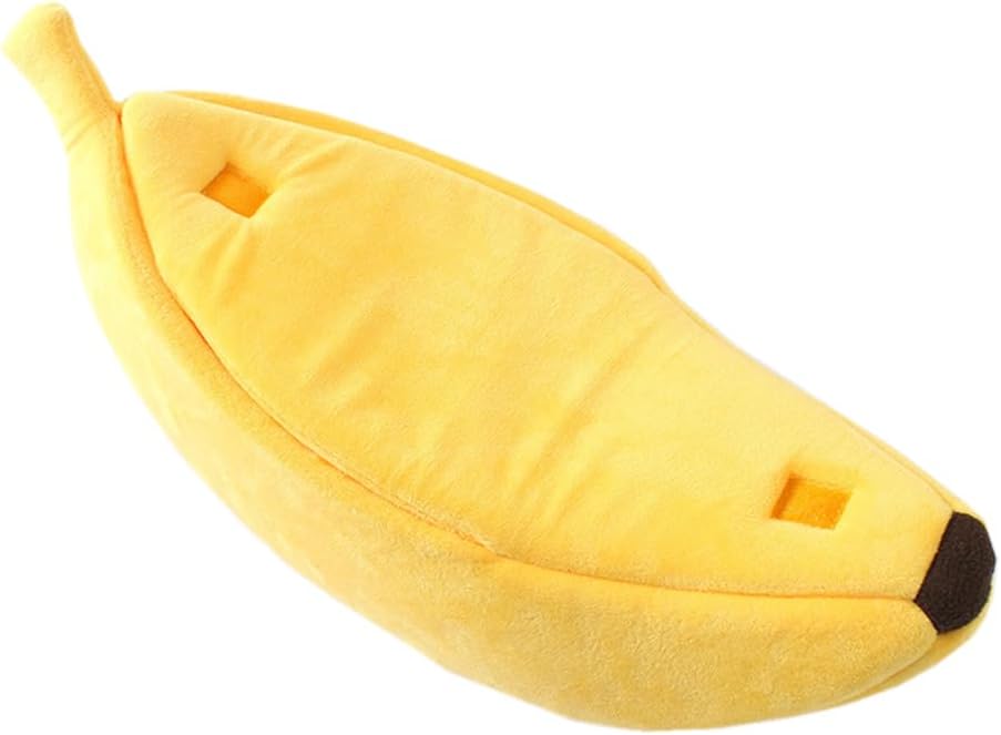 Lit Banana Chat