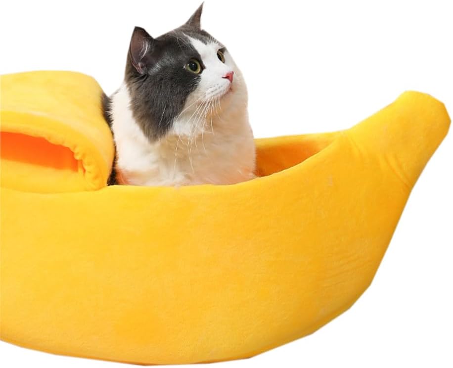 Lit Banana Chat