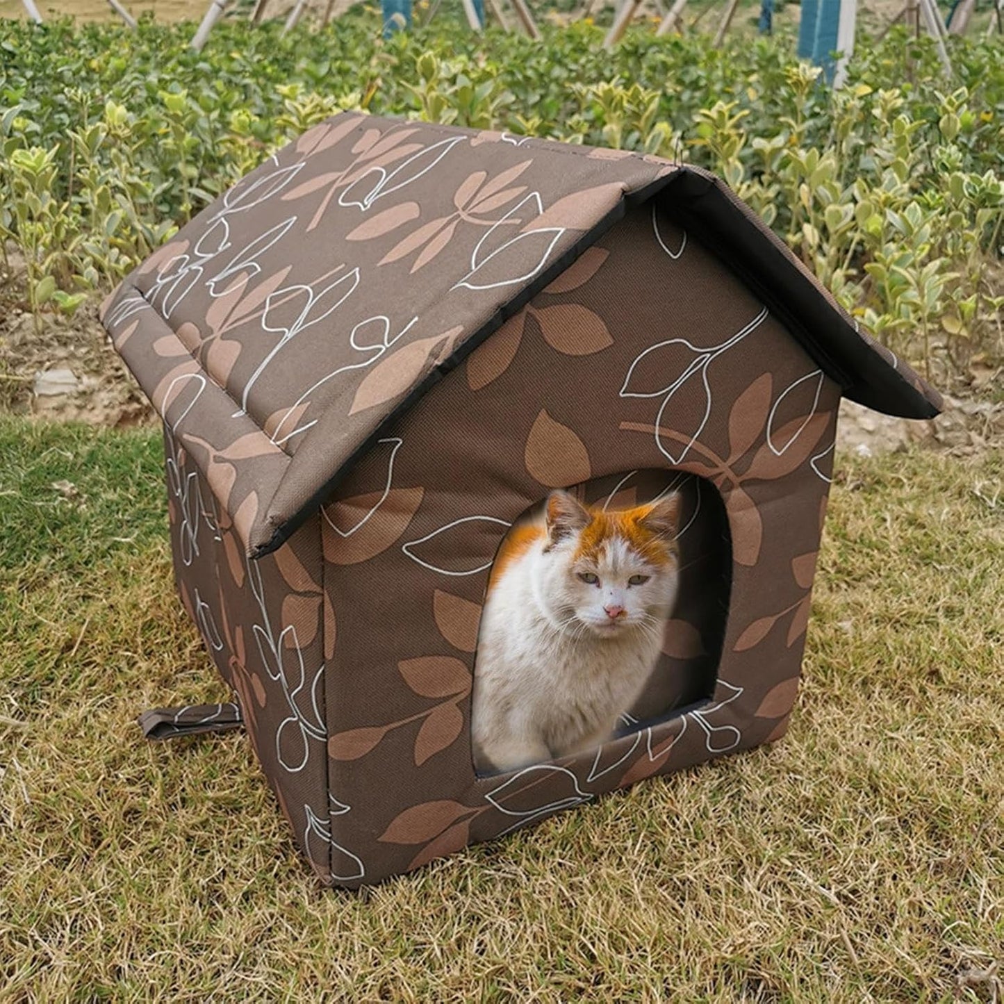 Chat Camp'