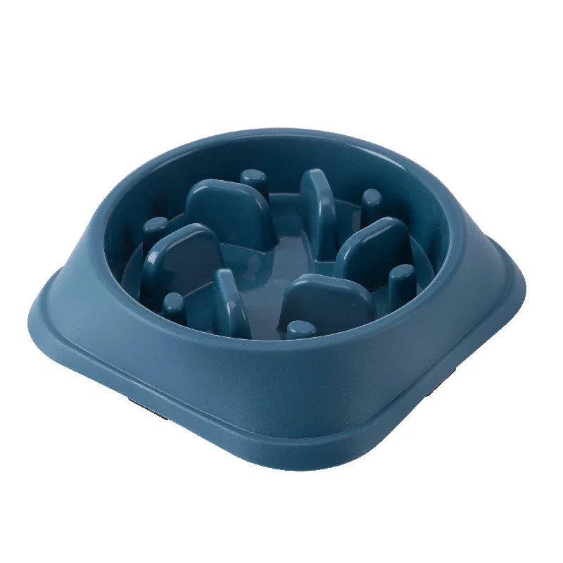 Gamelle Anti-Glouton Chat
