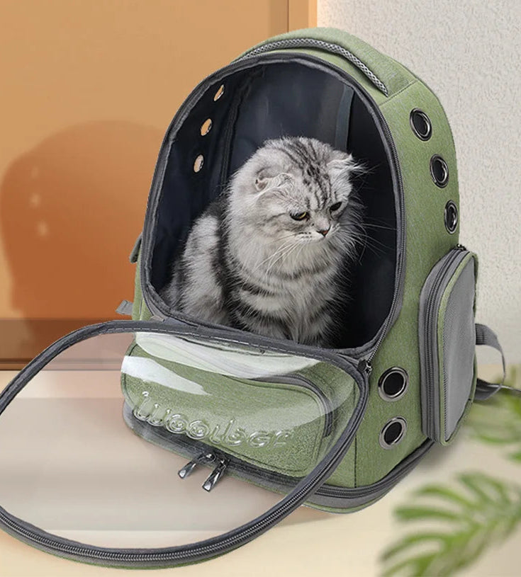 Sac Chat Transport