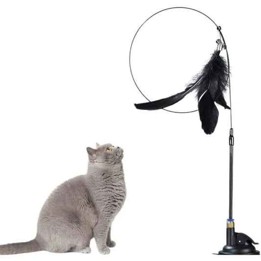 canne à pêche chat ventouse