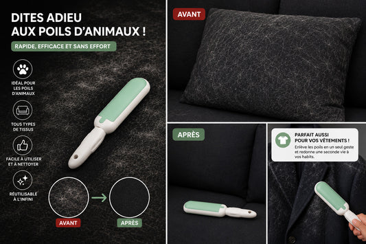 Brosse à Poils