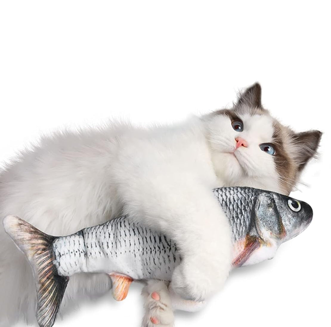 Le poisson Farceur
