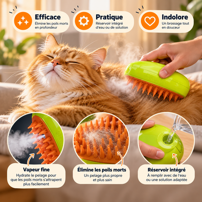 Brosse à Vapeur Félin