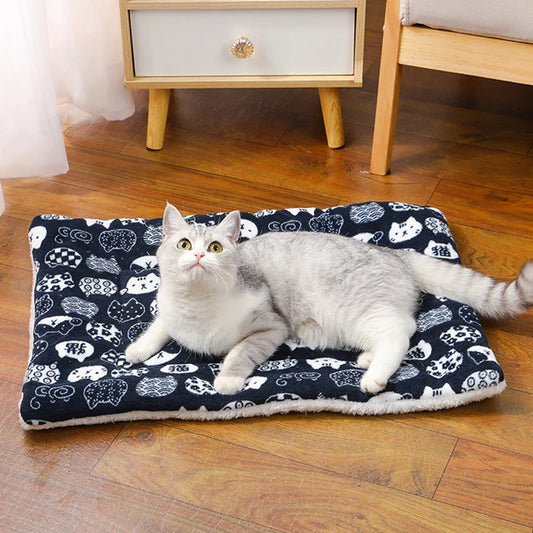 Tapis Félin