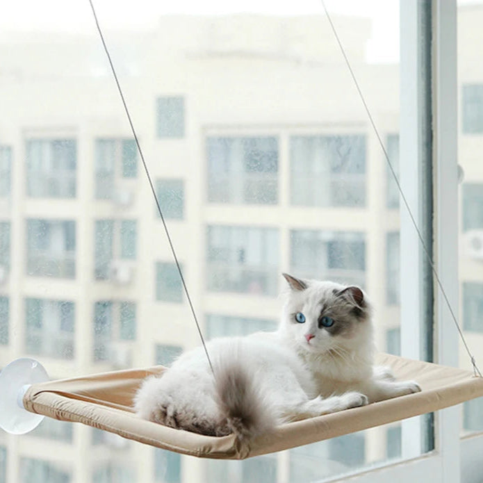 hamac fenêtre chat