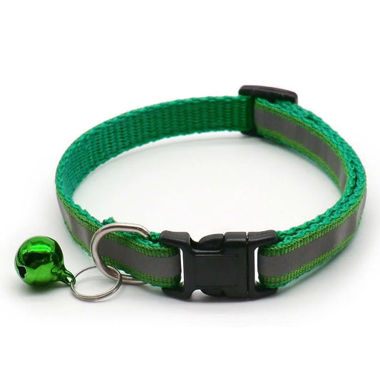 collier pour chat