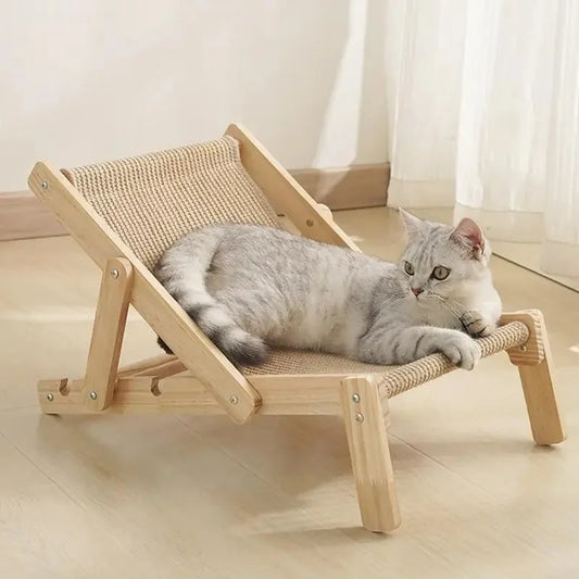 Sofa Cat'